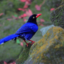 피드 작성자 프로필