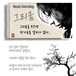 피드에 업로드 된 이미지
