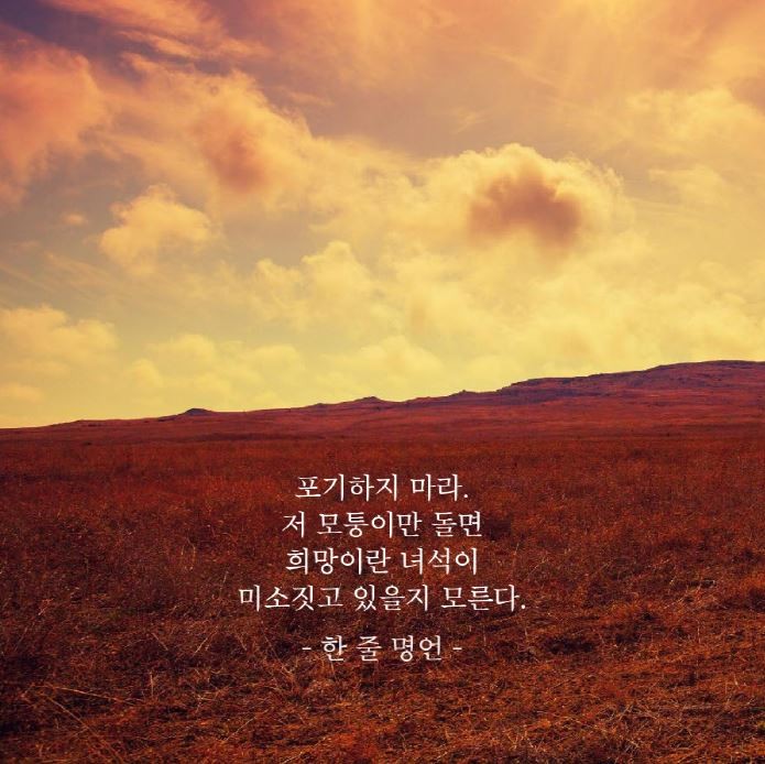 피드에 업로드 된 이미지