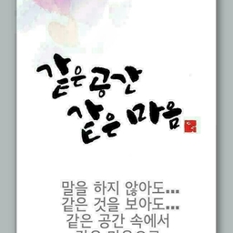 피드에 업로드 된 이미지