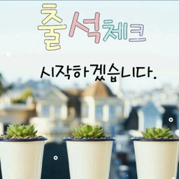 피드에 업로드 된 이미지