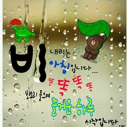 피드에 업로드 된 이미지