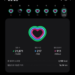 피드에 업로드 된 이미지