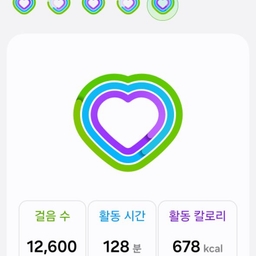 피드에 업로드 된 이미지