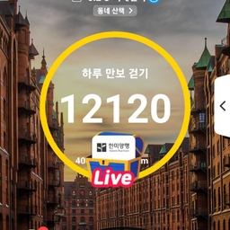 피드에 업로드 된 이미지