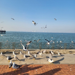 피드에 업로드 된 이미지