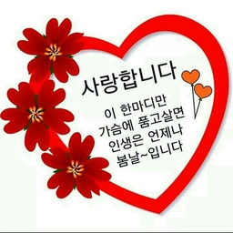 피드에 업로드 된 이미지
