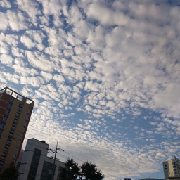 피드에 업로드 된 이미지