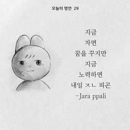 피드에 업로드 된 이미지