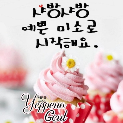 피드 이미지