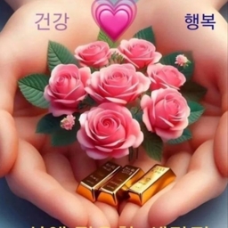 피드에 업로드 된 이미지