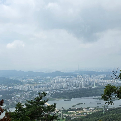 피드 이미지