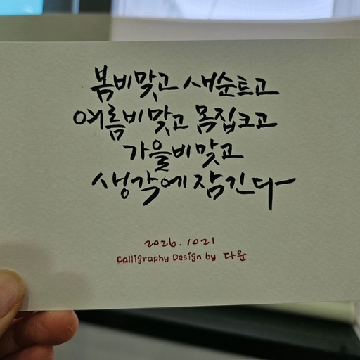 피드 이미지