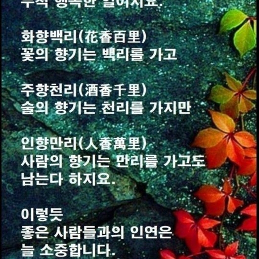 피드 이미지