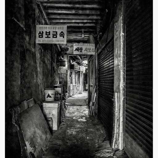 피드 이미지