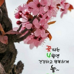 피드에 업로드 된 이미지