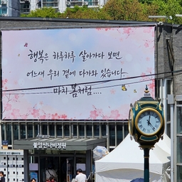 피드에 업로드 된 이미지