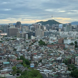피드에 업로드 된 이미지