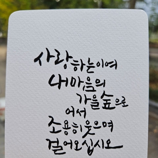 피드 이미지