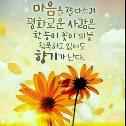 피드에 업로드 된 이미지