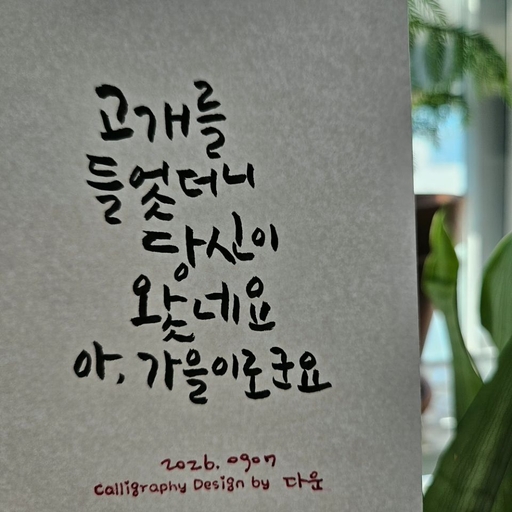 피드 이미지