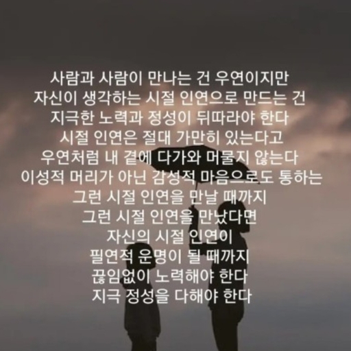 피드 이미지