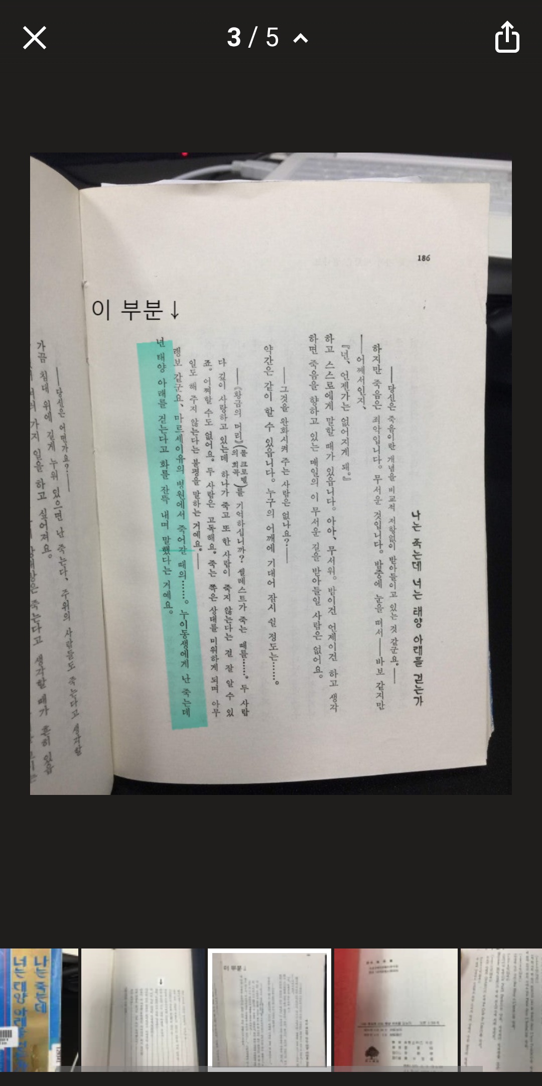 피드 이미지