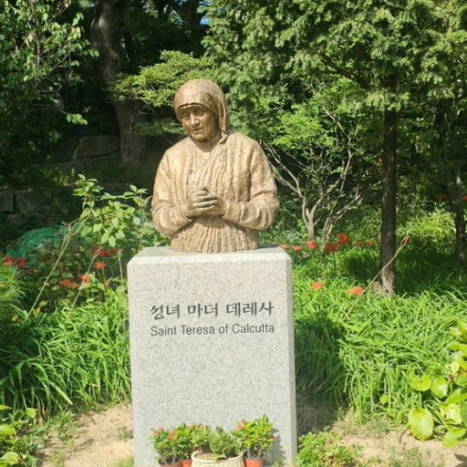 피드 이미지