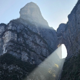 피드에 업로드 된 이미지