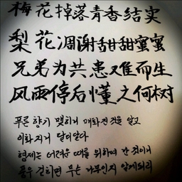 피드에 업로드 된 이미지