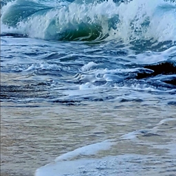 피드에 업로드 된 이미지