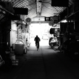 피드에 업로드 된 이미지