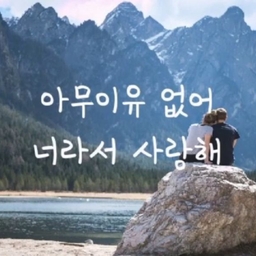 피드에 업로드 된 이미지
