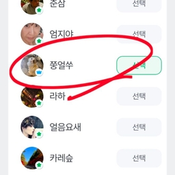 피드에 업로드 된 이미지