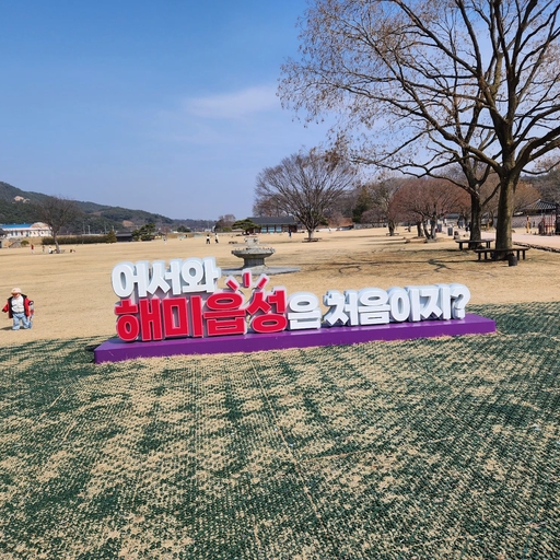 피드 이미지