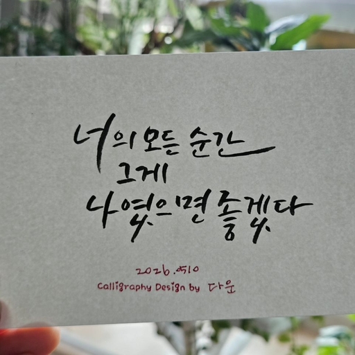 피드 이미지