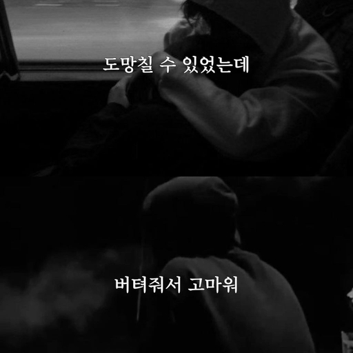 피드 이미지