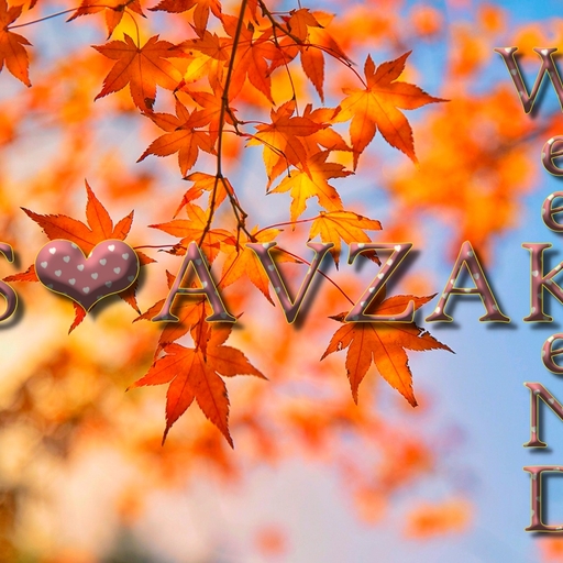 모임 대표 이미지