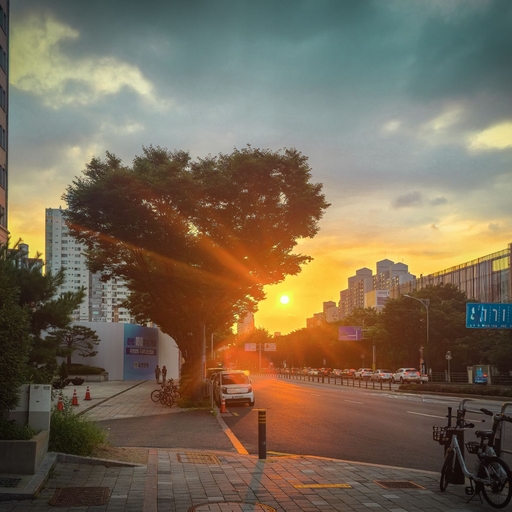피드 이미지