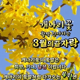 ํผ๋์ ์
๋ก๋ ๋ ์ด๋ฏธ์ง