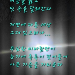 피드에 업로드 된 이미지