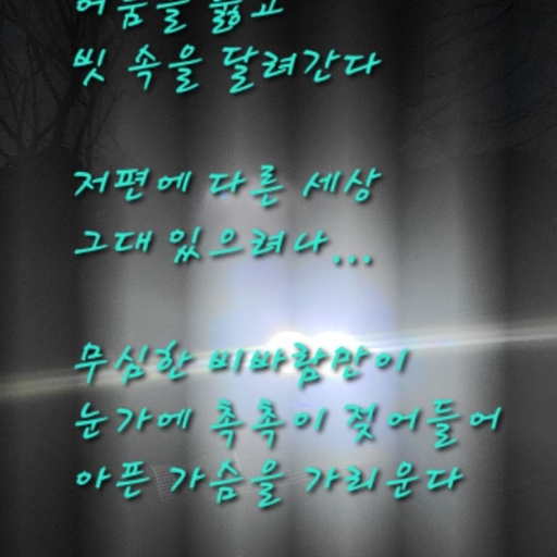 피드 이미지