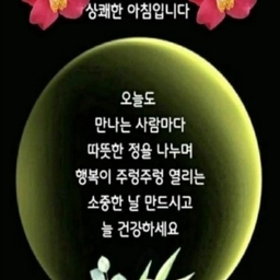 ํผ๋์ ์
๋ก๋ ๋ ์ด๋ฏธ์ง