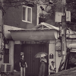 피드에 업로드 된 이미지