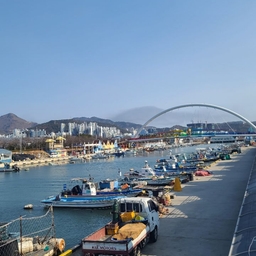 피드에 업로드 된 이미지