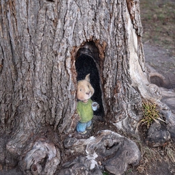 피드에 업로드 된 이미지