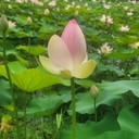 멤버 프로필
