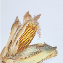 피드에 업로드 된 이미지