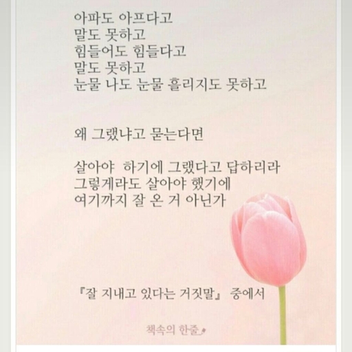 피드 이미지