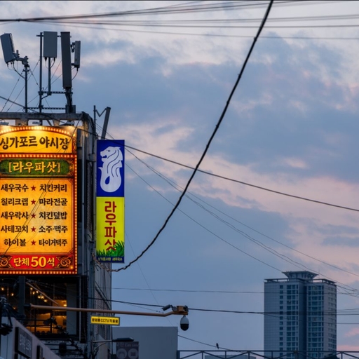 피드 이미지